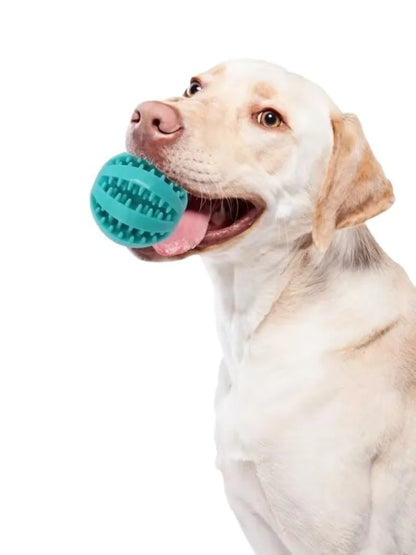 Dog Toy Ball Interactive Rubber Balls Puppy Chewing Toys Pet Tooth Cleaning Ball Cats Pets Food Treat Feeder Silicone Balls Toy