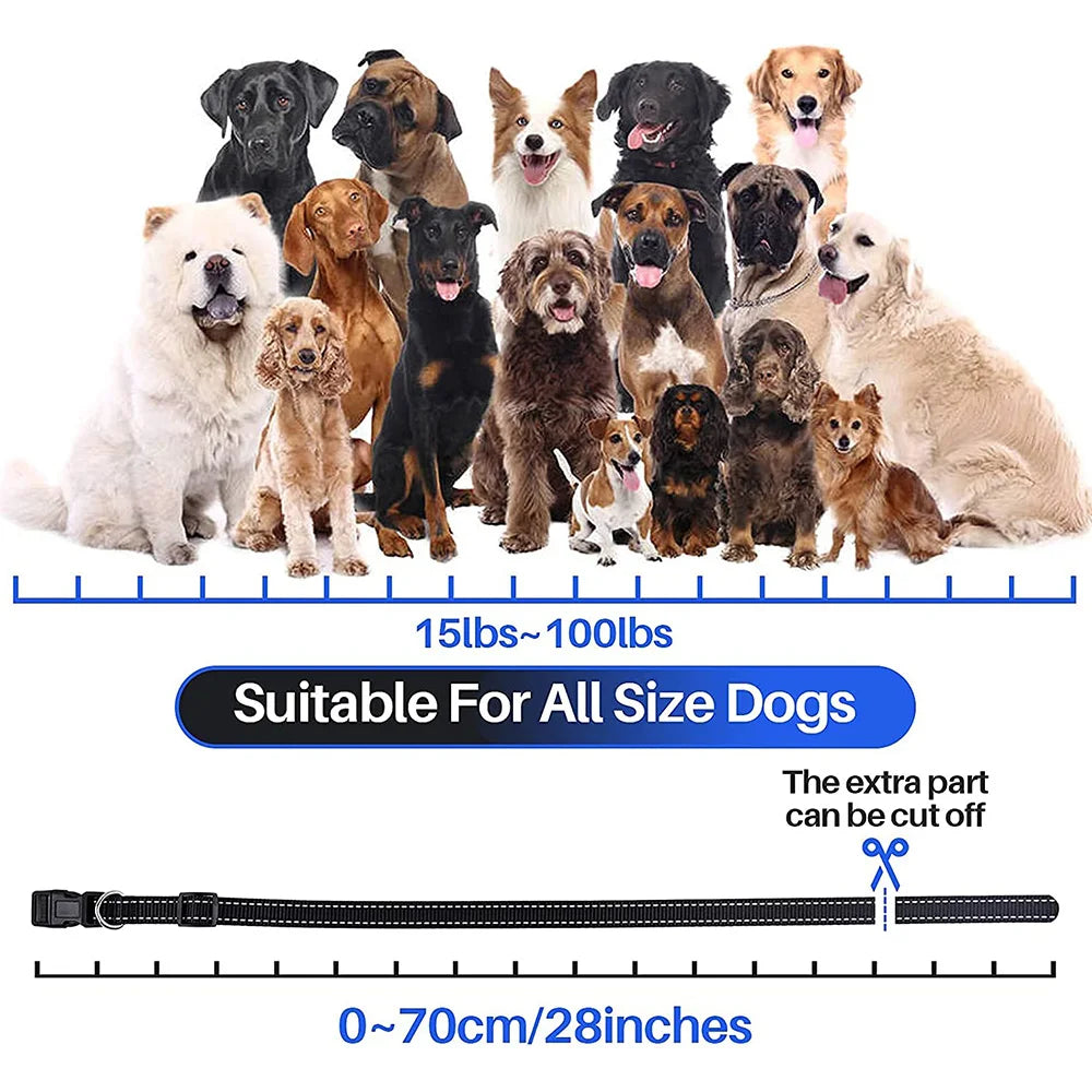 800m Digital Dog Training Collar Waterproof Rechargeable Remote Control Pet with LCD Display for All Size Shock Vibration Sound