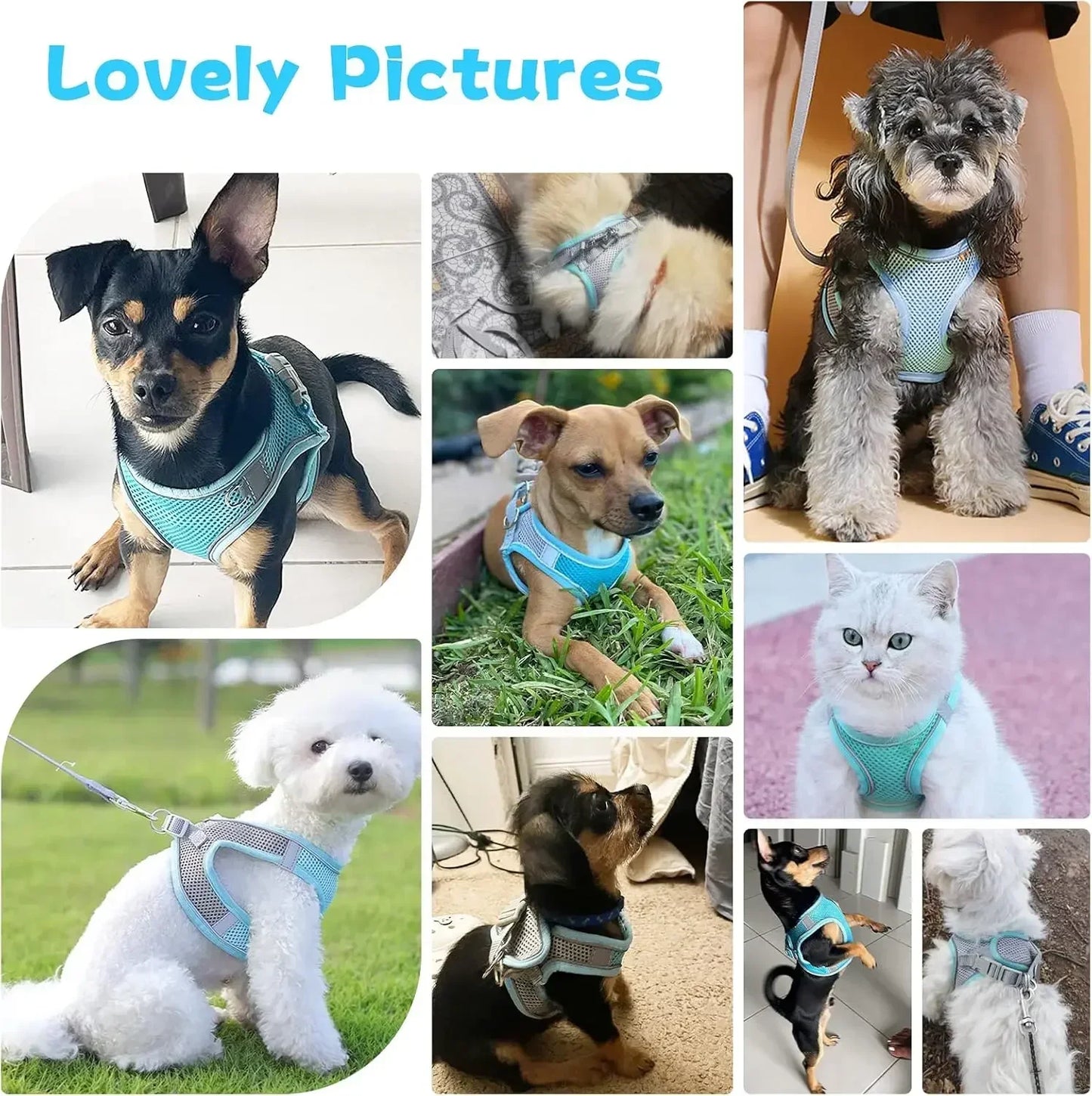 Escape-Proof Dog Harness and Leash Set for Small Dogs Cats Puppy Harness Vest Reflective Kitten Walking Lead Leash Pet Supplies